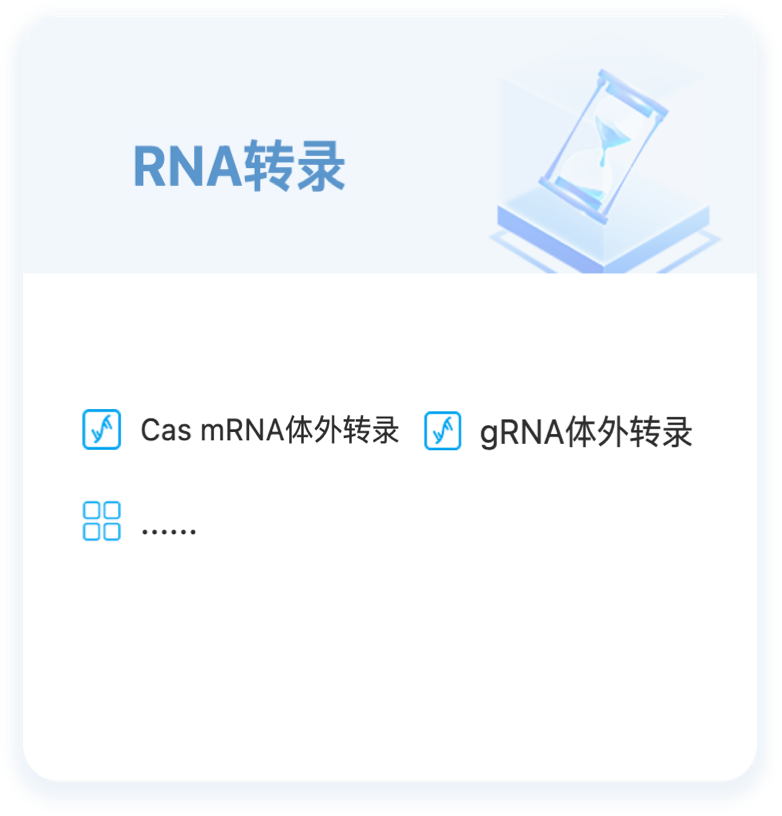 RNA转录